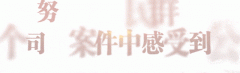 依法确认合同效力